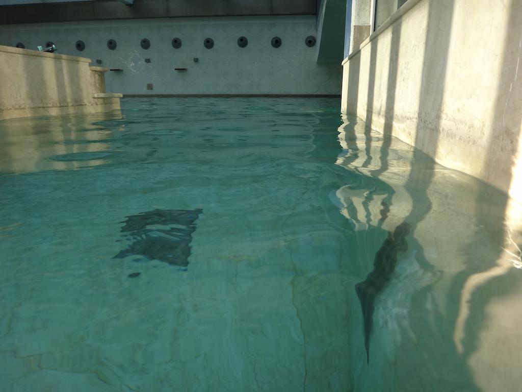 Terme Di Venturina Hotel เวนตูรีนา แตร์เม ภายนอก รูปภาพ